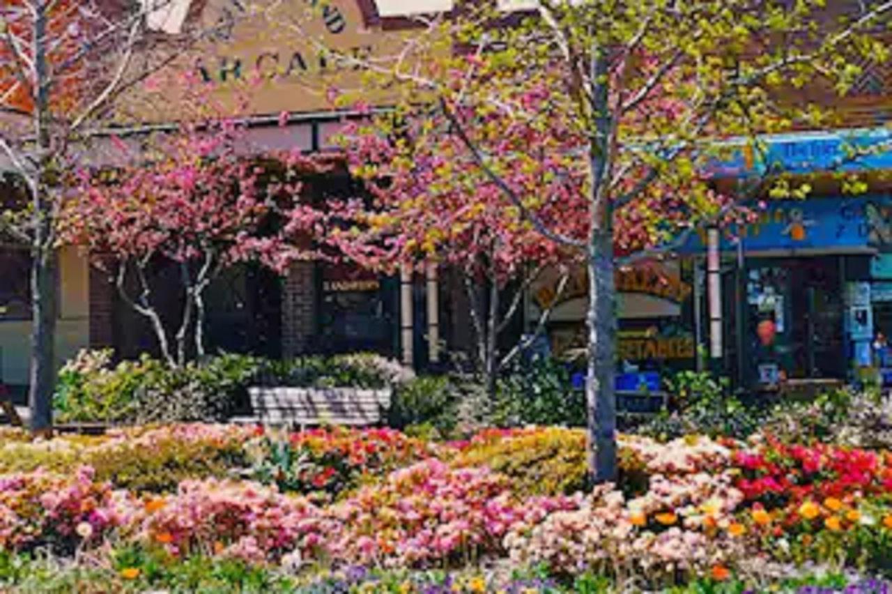 Rose Pine Cottage At Leura Luaran gambar